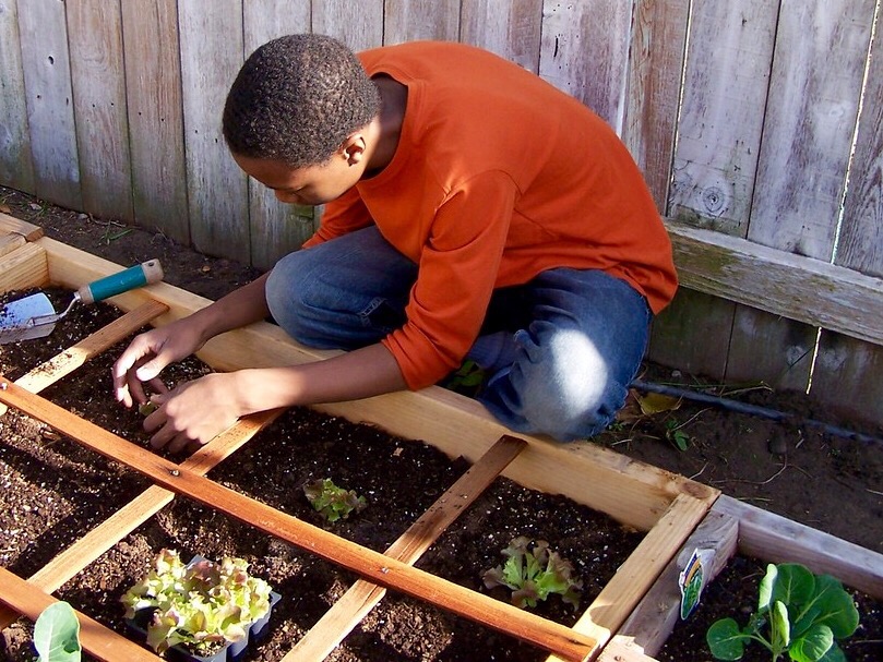 Le compost : comment et avec quoi le réaliser ?