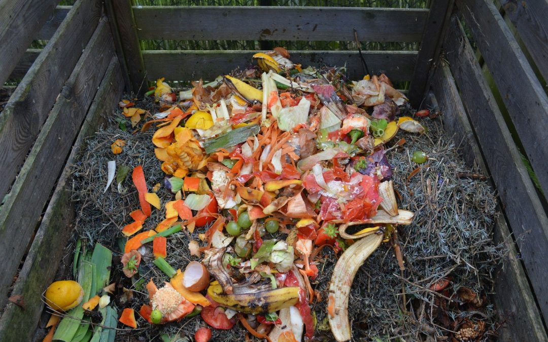Le compost : un atout pour le potager