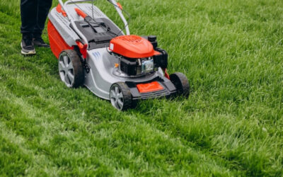 Comment choisir une tondeuse adaptée à la taille de votre pelouse ?